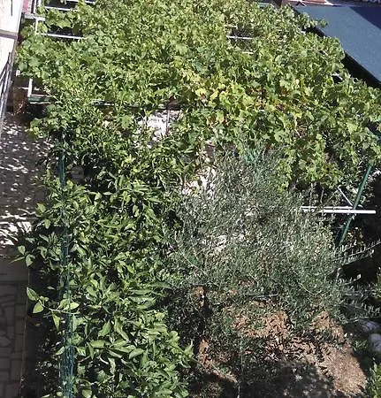 Cinzia Apartment